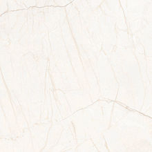 G231PR Iset Elegant (Исеть Элегант) 600x600 полированный серый