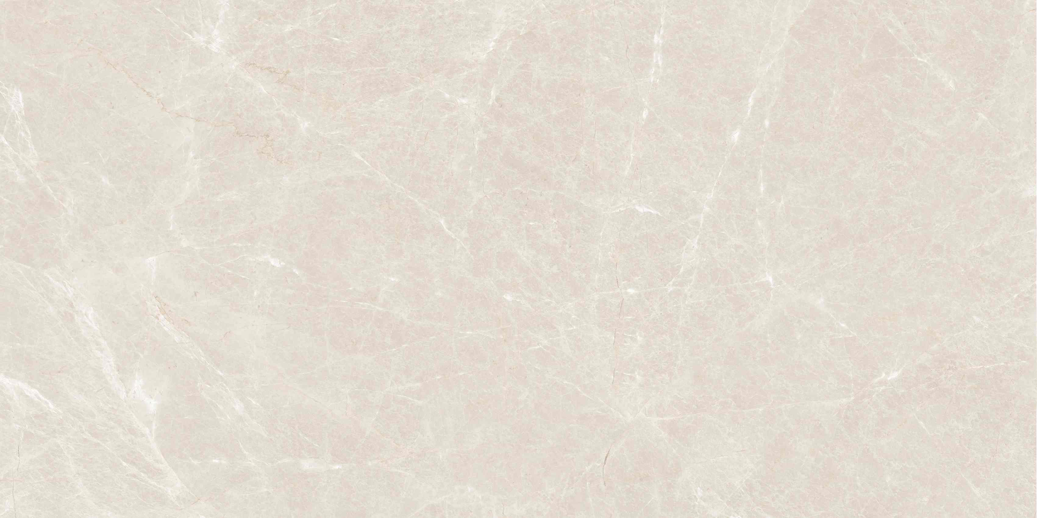 ETSTN1226GL60120 Liceo Pearl Glossy 600x1200 полированный серый