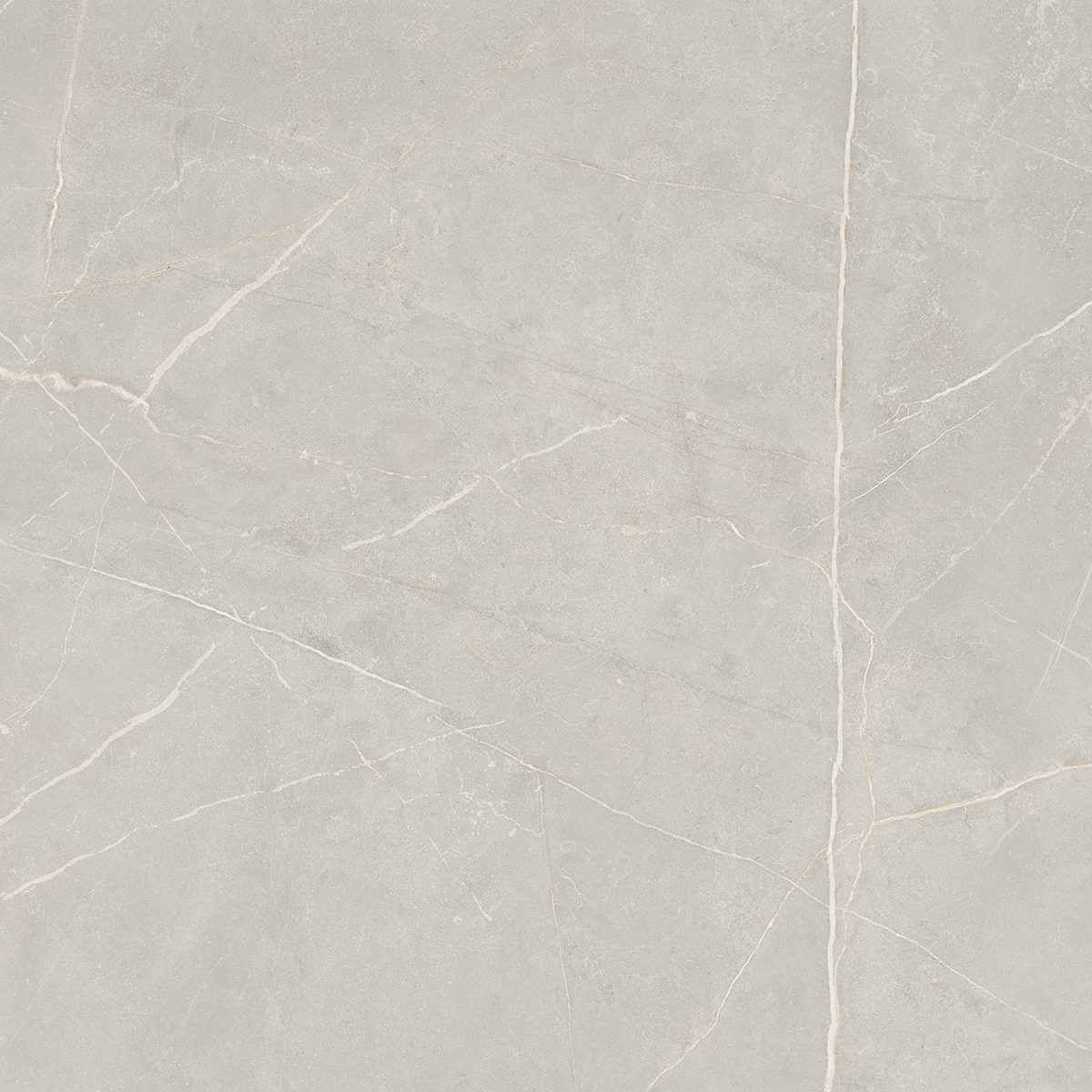 NL02 Nolana Light Grey 600x600 неполированный серый