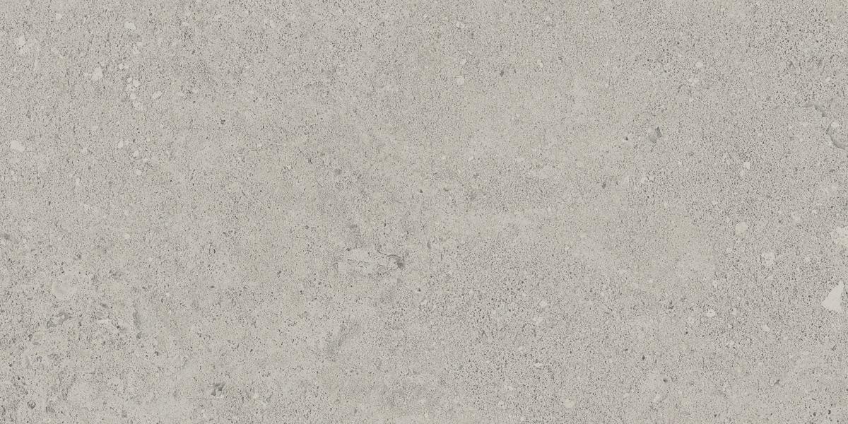 NP01 Newport Light Grey 306x609 неполированный серый