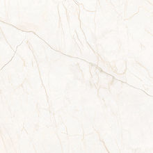 G231PR Iset Elegant (Исеть Элегант) 600x600 полированный серый